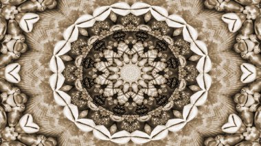 Soyut kuru kabukları ve yıldız kavramı simetrik desen süs dekoratif Kaleidoscope hareketi geometrik daire ve yıldız şekiller