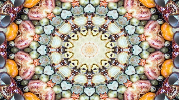 Abstrato Seco Seashells Estrelas Conceito Padrão Simétrico Ornamental Decorativo Caleidoscópio — Fotografia de Stock