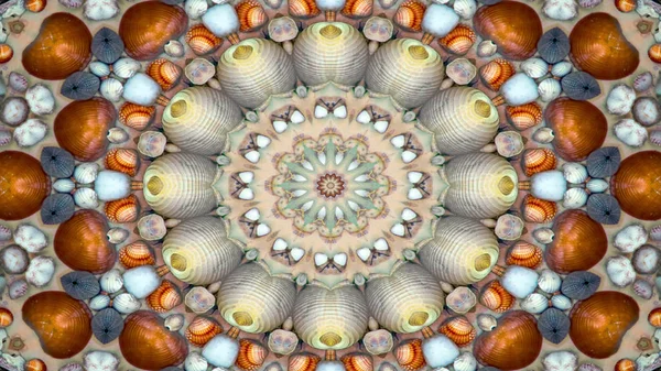 Аннотация Dry Seashells Stars Concept Symmetric Pattern Ornamental Decorative Kaleidoscope — стоковое фото