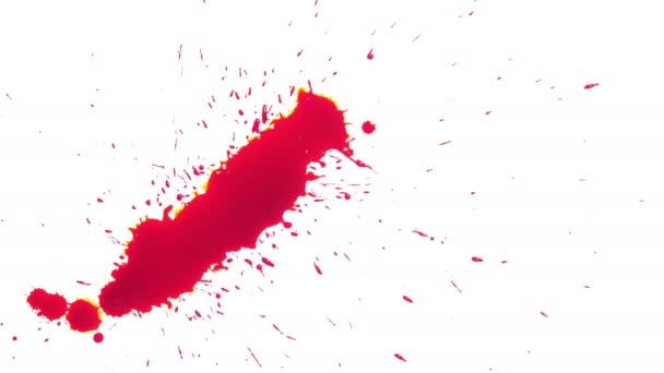 Diffusione Del Sangue Rosso Sfondo Bianco — Video Stock