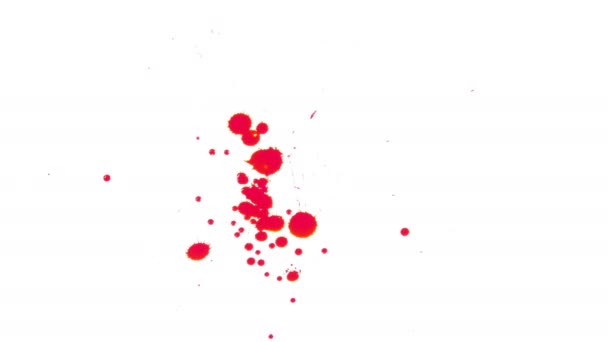 Rood Bloed Verspreid Witte Achtergrond — Stockvideo