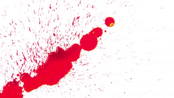 Κόκκινο Αίμα Εξαπλωθεί Λευκό Φόντο — Αρχείο Βίντεο