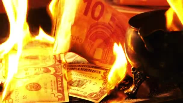 Burning Money Fire — Stock Video