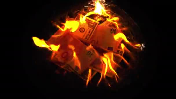 火にお金を燃焼 — ストック動画
