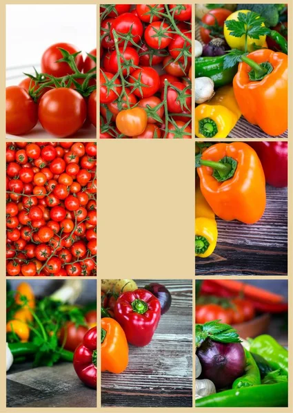 Mix Sano Organico Vegetale Collage — Foto Stock
