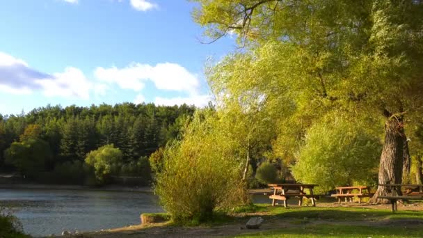 森林中的湖和木制座椅 — 图库视频影像