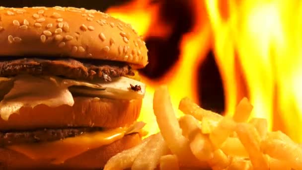 Heerlijk Vlees Hamburger Fire — Stockvideo