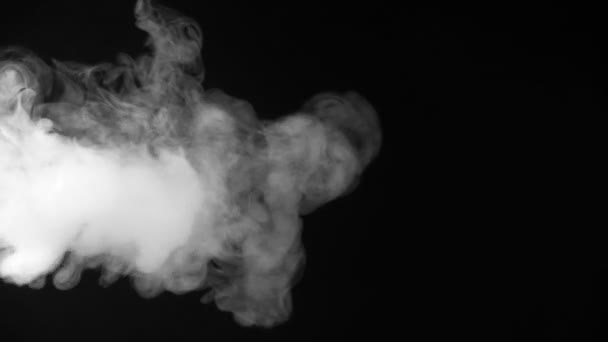 Fehér Füst Fekete Háttér — Stock videók