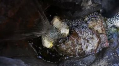 Şelale ve taş taş