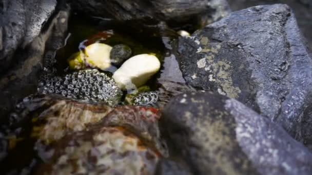 Cascada Piedras Rocosas — Vídeo de stock