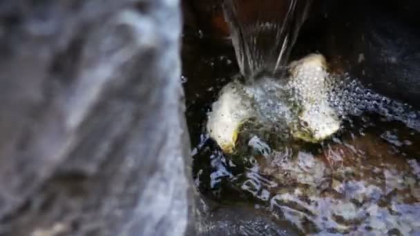 Wasserfall Und Steine — Stockvideo