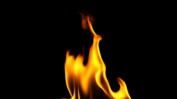 Fond Flamme Brûlante Incendie — Video