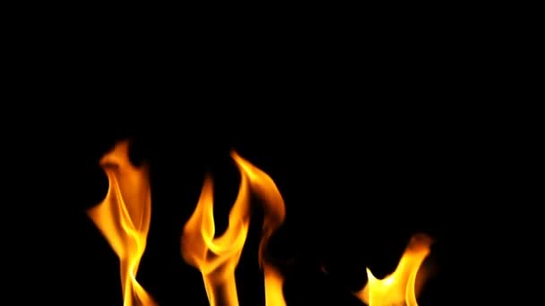 Fond Flamme Brûlante Incendie — Video