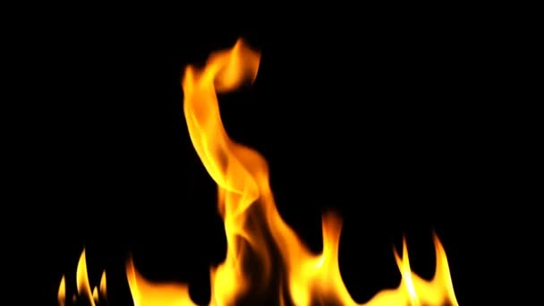 Fire Burning Flame Background — Stock Video