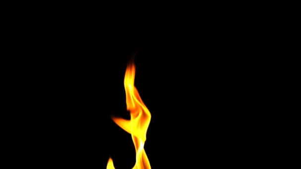 Vuur Brandende Vlam Achtergrond — Stockvideo