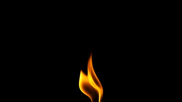 Fire Burning Flame Background — Stock Video