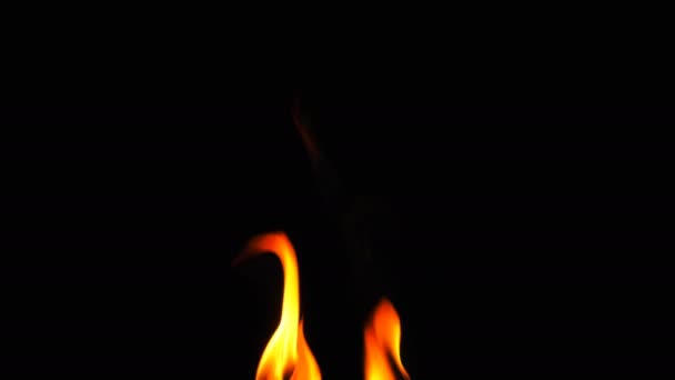 Ogień Płonący Płomienia Ciepła Czarnym Tle — Wideo stockowe