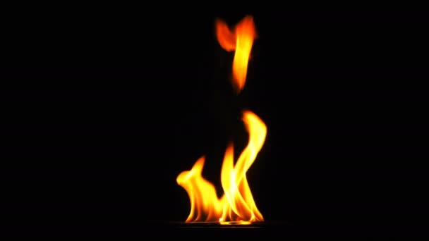 Fire Burning Heat Flame Black Background — Stock Video