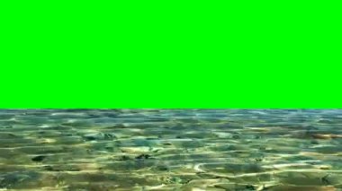 Sakin deniz suyu ve yeşil kutu