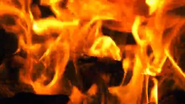 Houten Fire Burning Flames — Stockvideo