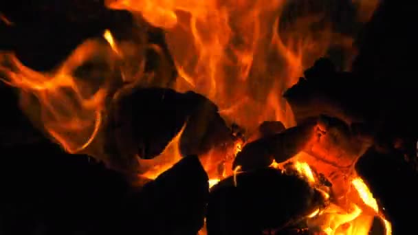 木火燃烧火焰 — 图库视频影像