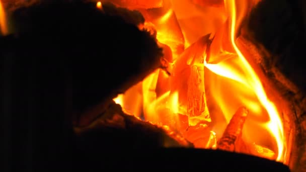 Houten Fire Burning Flames — Stockvideo