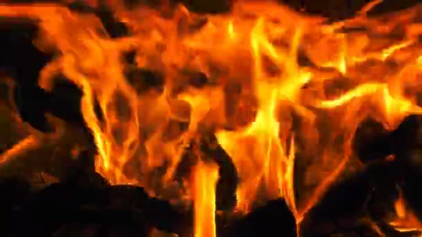 Houten Fire Burning Flames — Stockvideo