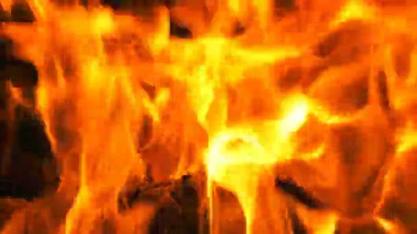 Holzfeuer Lodert Flammen — Stockvideo