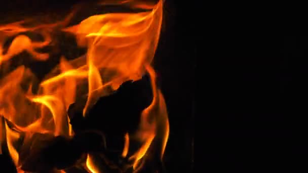 Fuego Madera Llamas Ardientes — Vídeo de stock