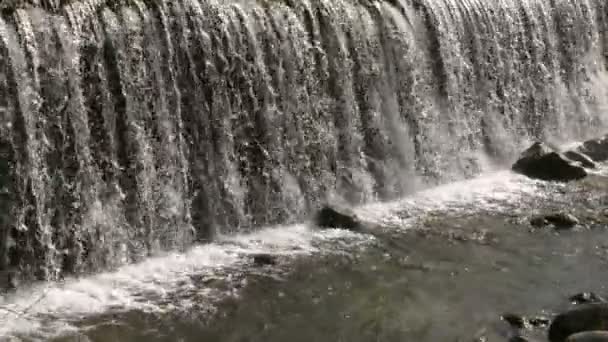 Cascada Fluye Hacia Abajo Naturaleza — Vídeos de Stock