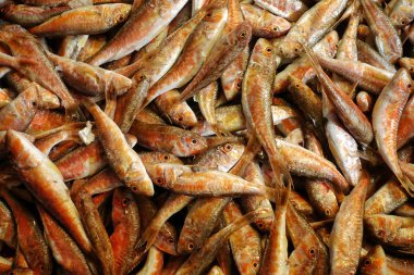 Balık Pazarı Standında Balık Yemekleri