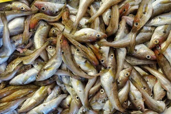 Alimentos para peixes em um carrinho de mercado de peixe — Fotografia de Stock