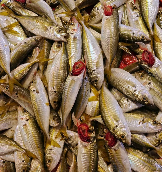 Alimentos para peixes em um carrinho de mercado de peixe — Fotografia de Stock