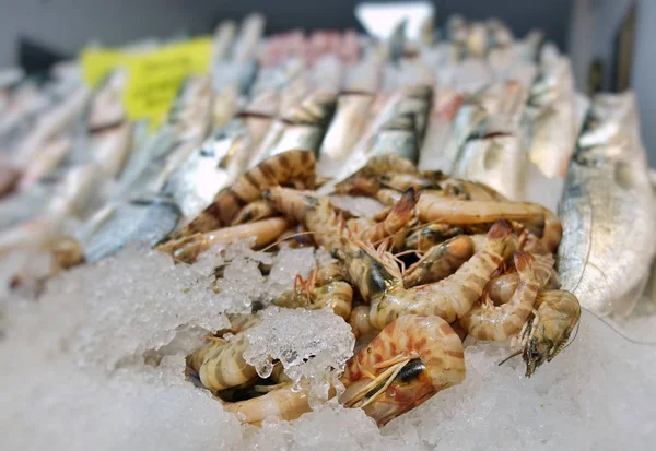 Visvoer in een vismarkt stand — Stockfoto