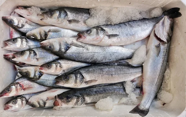 Alimentos para peixes em um carrinho de mercado de peixe — Fotografia de Stock