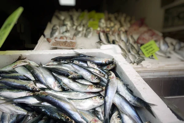 Alimentos para peixes em um carrinho de mercado de peixe — Fotografia de Stock