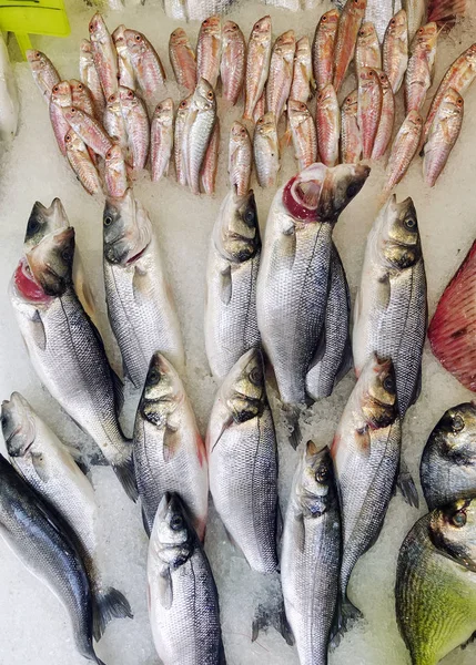 Alimentos para peixes em um carrinho de mercado de peixe — Fotografia de Stock