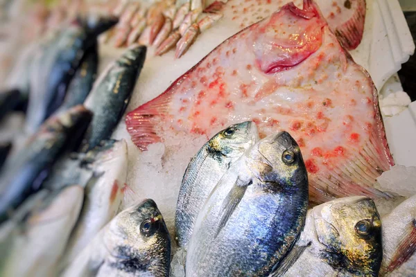 Alimentos para peixes em um carrinho de mercado de peixe — Fotografia de Stock