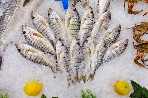 Fish Food in a Fish Market Stand