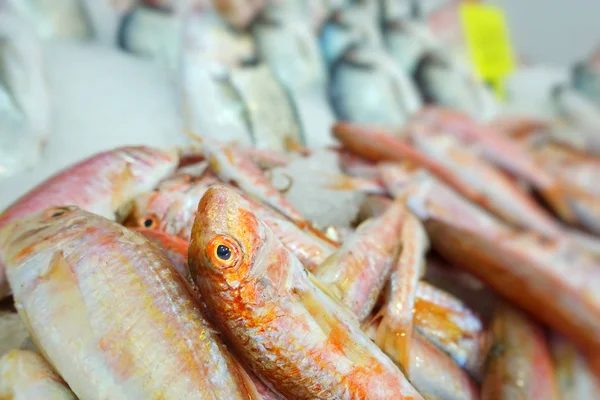 Alimentos para peixes em um carrinho de mercado de peixe — Fotografia de Stock