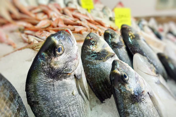 Visvoer in een vismarkt stand — Stockfoto