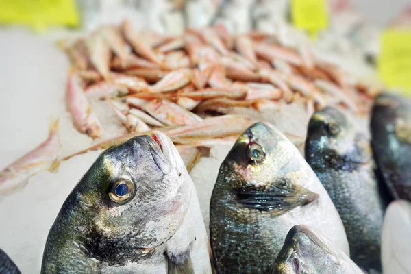 Visvoer in een vismarkt stand — Stockfoto