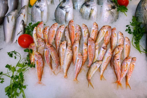 Alimentos para peixes em um carrinho de mercado de peixe — Fotografia de Stock