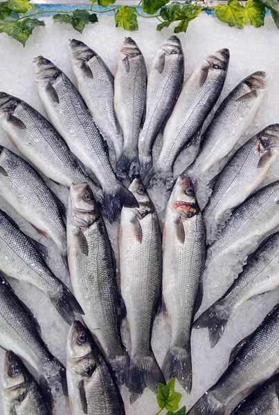 Alimentos para peixes em um carrinho de mercado de peixe — Fotografia de Stock