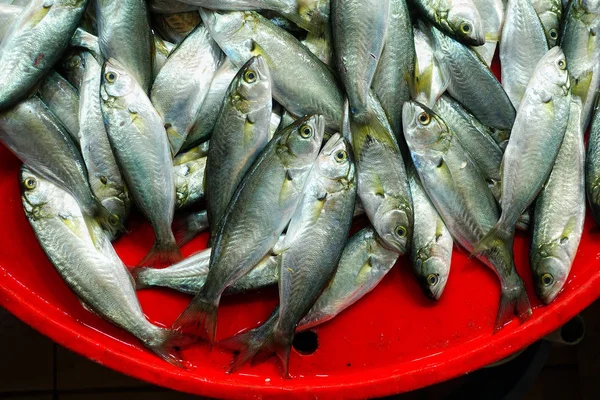 Alimentos para peixes em um carrinho de mercado de peixe — Fotografia de Stock