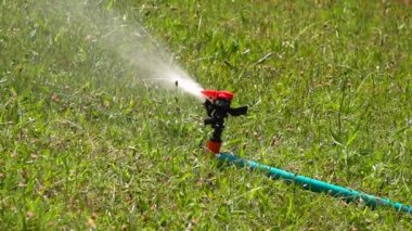 Çimenlerde Su Sprinkler sulama