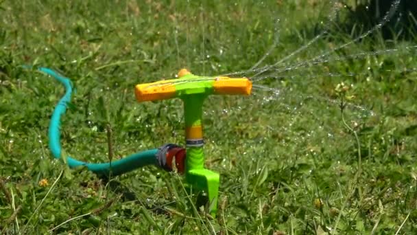 Bewässerung Mit Wassersprenger Auf Gras — Stockvideo