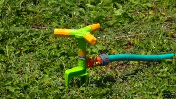 Vatten Sprinkler Bevattning Gräs — Stockvideo