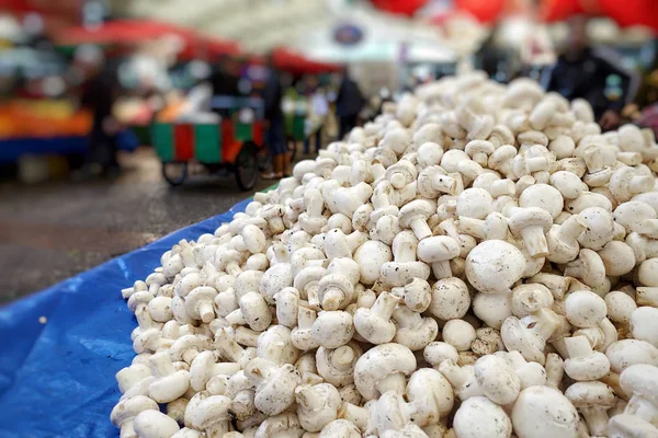 Friska organiska och färska vegetabiliska svampar — Stockfoto