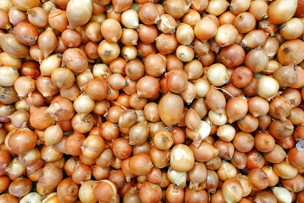 BakkalOrganik Sebze Gıda Soğan